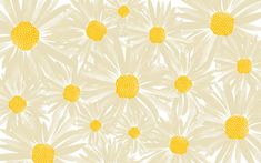 yellow and white flowers are arranged in rows on a beige background with light green leaves