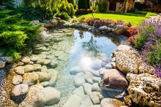 a small pond surrounded by rocks and plants in the middle of a yard with trees