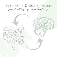 Health And Wellness Poster Design, Gut Health Graphic, Gut Brain Connection Illustration, Gut Health Brain Health, Holistic Health Infographic, Gut Health Diet, Holistic Diet, Prebiotics And Probiotics, Holistic Lifestyle