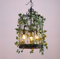 a birdcage filled with plants and lights hanging from it's sides on a wall