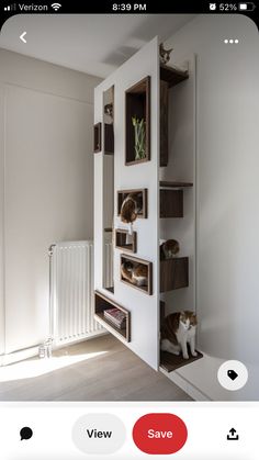 a cat sitting on top of a shelf next to a radiator in a room