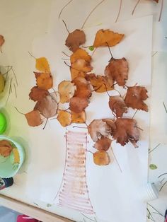 an art project with leaves on the table