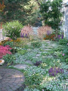 a garden with lots of different flowers and plants in the area next to the house