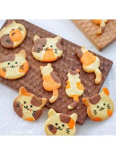 cookies decorated like cats and kittens on a tray