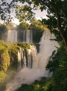 igua falls in the jungle surrounded by lush green trees and water cascading