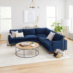 a living room with blue couches and white rugs on the hardwood flooring