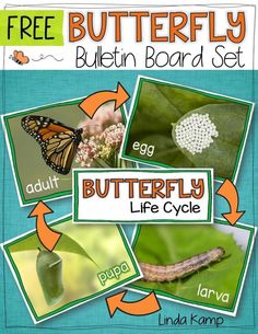 the butterfly life cycle is shown in this poster