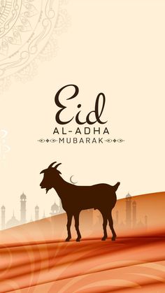 Eid mubarak Eid al adha mubarak happy eid ul azha happy bakra eid 2021 wishes wallpaper and backgrounds eid mubarak quotes muslim quotes wishes quotes Eid Ul Adha Wallpaper, Eid Al Adha Wishes, Eid Mubarak Wishes Images, Eid Al-adha Design, Eid Mubarik, Eid Wallpaper, Eid Mubarak Photo, Eid Mubarak Wallpaper