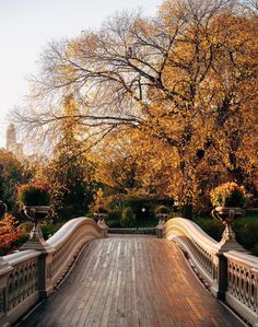 a wooden bridge with wrought iron railings and trees in the background on a sunny day