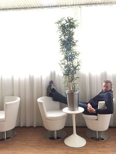 a man sitting in a chair next to a tall plant