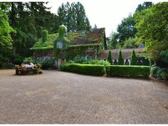 the driveway is lined with hedges and potted plants