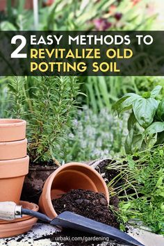 pots and gardening tools sitting on top of dirt