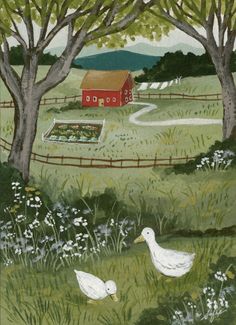 two white ducks are in the grass near trees and a red barn with a red roof