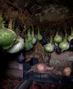 many vegetables are hanging from the ceiling