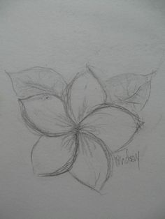 a pencil drawing of a flower with leaves on the petals and words written in cursive writing