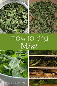 how to dry mint in the kitchen