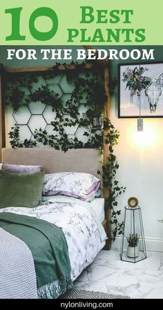 a bed with plants on the headboard and text overlay reading 10 best plants for the bedroom