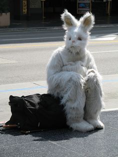 a white rabbit sitting on top of a black bag