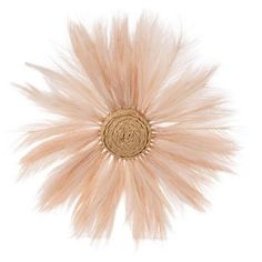 an image of a hair piece on a white background in the shape of a flower