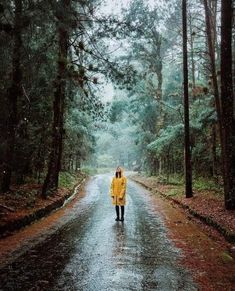 a person in a yellow raincoat walking down a road with trees on both sides