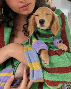 a woman holding a puppy wrapped in a towel and wearing a green, purple, yellow and red sweater