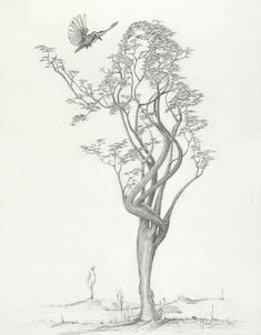 a pencil drawing of a tree with a bird perched on it