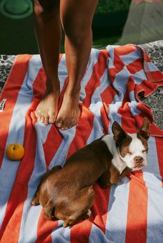 Veronika Nikolaeva, [Jun 13, 2024 at 12:51] #банкрефов 2, все не влезло Striped Towels, Summer Feeling, Beach Vibe, The Sand, Lifestyle Photography, Beach Towels, Summer Aesthetic, Beach Day, No. 2