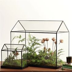 two glass houses filled with plants on top of a wooden table next to a book