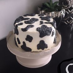 a cake decorated with black and white cow print icing sits on a plate next to a potted plant