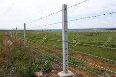 a barbed wire fence in an open field