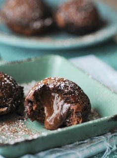 two chocolate donuts on a plate with powdered sugar