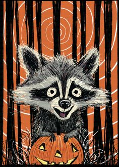 a raccoon smiling while holding a carved pumpkin. A stylized drawing. San Antonio Texas, San Antonio, Animal Art