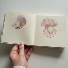 a hand holding an open book with two seashells on the pages and one shell in the middle