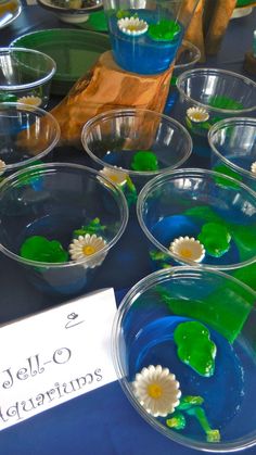 there are many plastic bowls with water and flowers in them that have been placed on the table