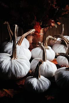 several white pumpkins sitting on top of each other