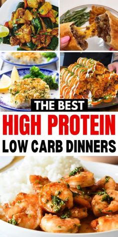 the best high protein low carb dinneres to feed your family and friends all in one place