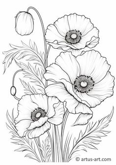 an ink drawing of poppies in black and white