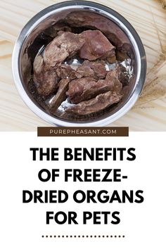 the benefits of freeze - dried organes for pets and how they can help them