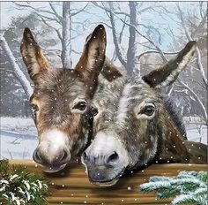 two donkeys standing next to each other in front of snow covered trees and bushes