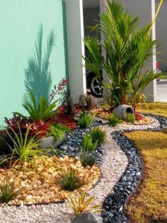 a garden with rocks and plants in front of a blue wall on the side of a building