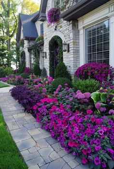 purple flowers in front of a brick house