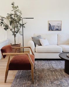 a living room filled with furniture and a tree in the corner on top of a rug