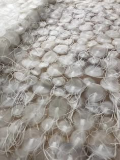 the fabric is covered with lots of white balls and thread on it's surface