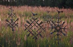 birds are perched on the top of barbed wire fence posts in a grassy field with tall grass