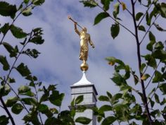 a golden statue on top of a building with a cross in the middle and leaves around it