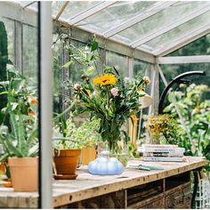 a table with plants and books on it in a glasshouse filled with potted plants