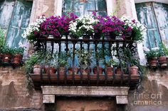 an old balcony with flowers and potted plants on the balconies above it