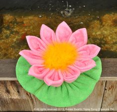 a pink and green flower on top of a wooden fence with the words how to instructional video