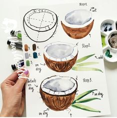 a drawing of coconuts with their names and pictures on the paper next to them