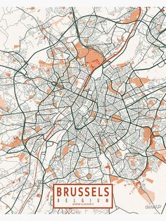 a map of brussels with the streets and roads marked in orange, red and green